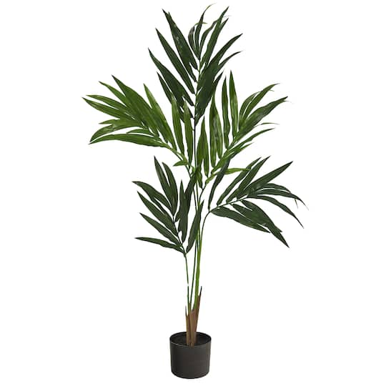 4ft. Potted Kentia Palm Tree
